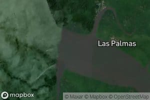 Estero Brazo Largo