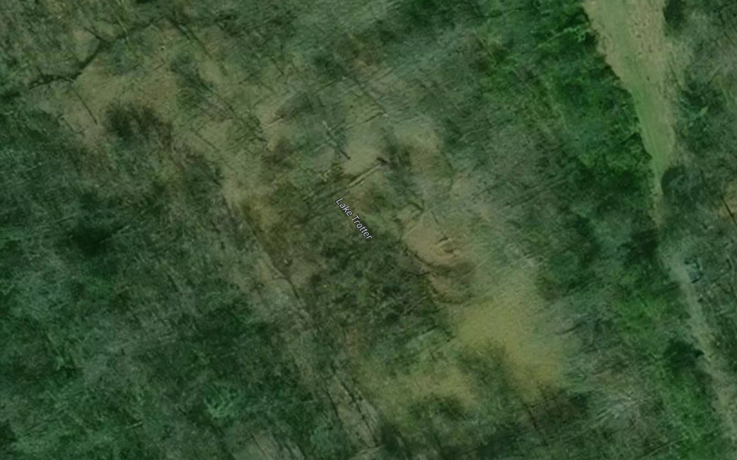 Lake Trotter