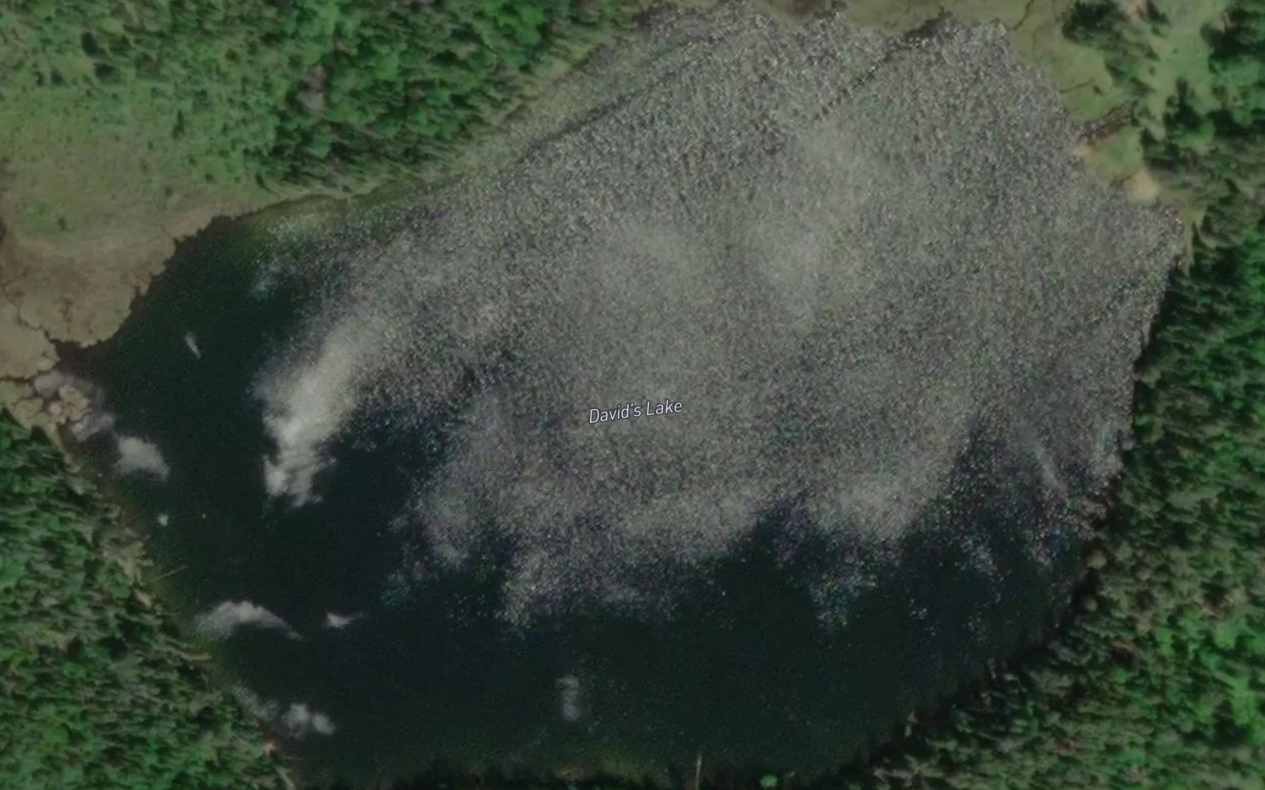 David's Lake