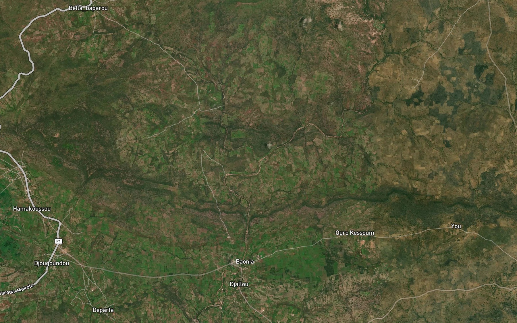 Satellite map of the Mayo Bani