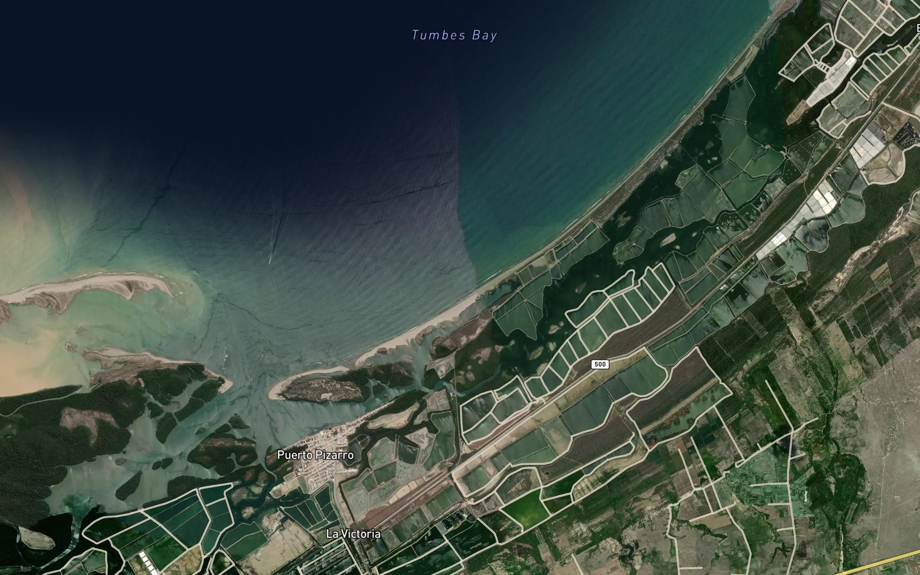 Satellite map of the Boca de Pizarro
