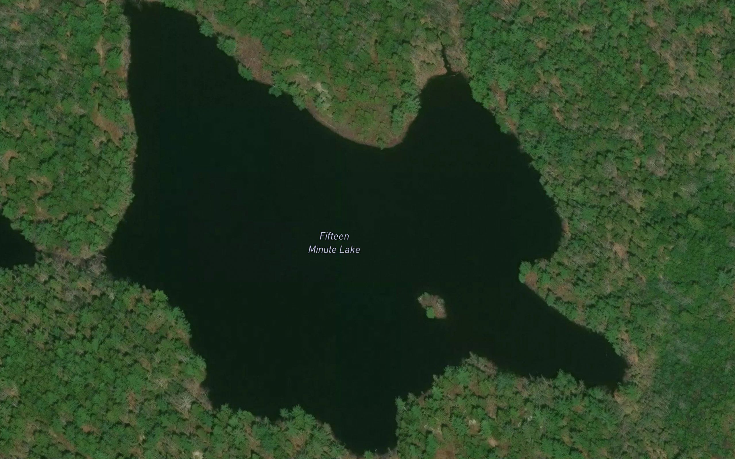 Fifteen Minute Lake