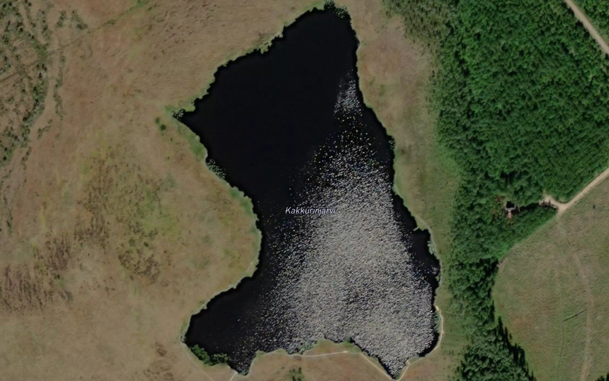 Kakkurinjarvi