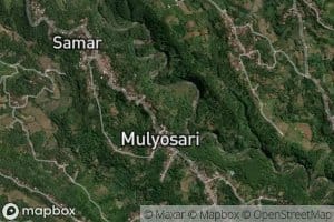 Saluran Samar