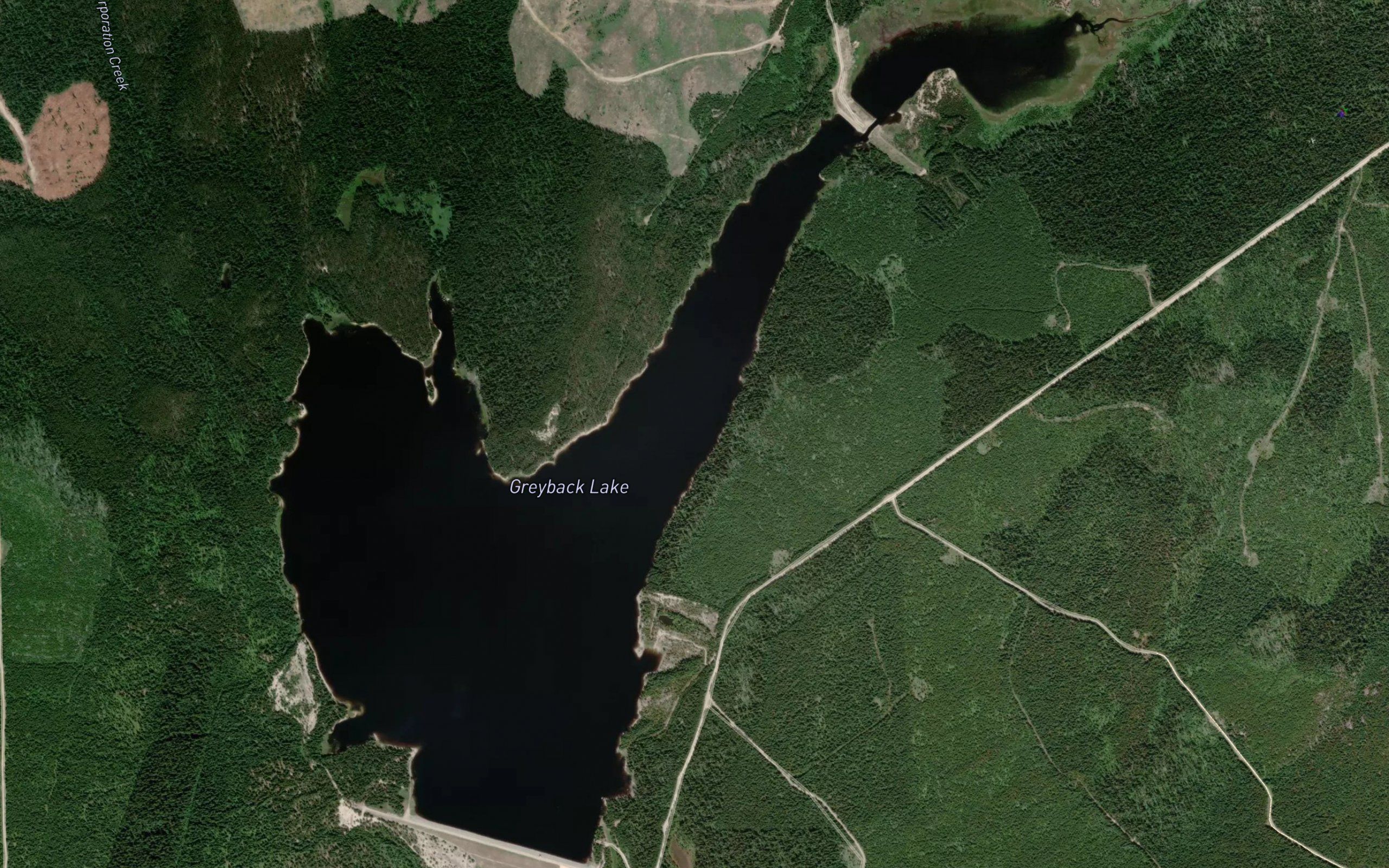 Greyback Lake