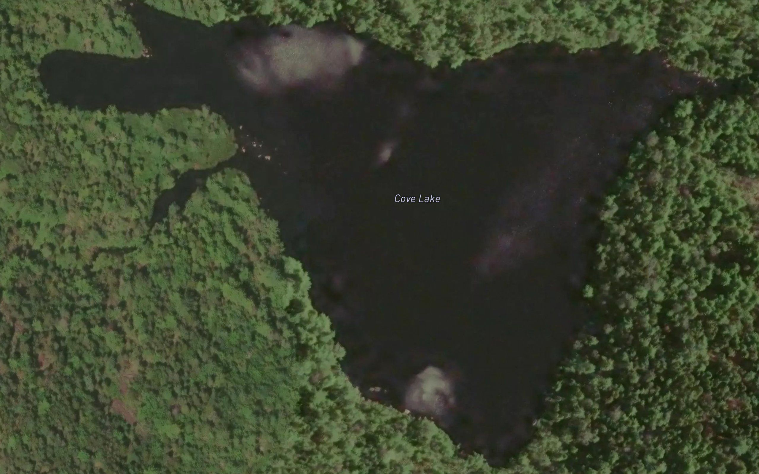 Cove Lake