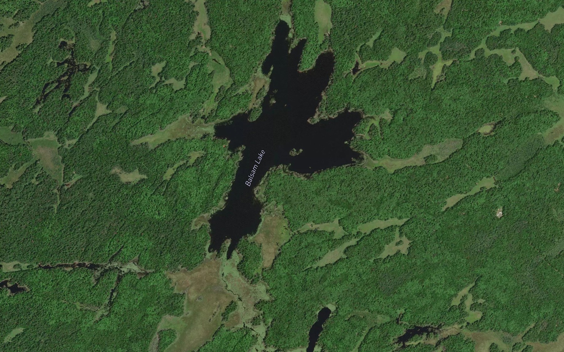 Satellite map of the Balsam Lake