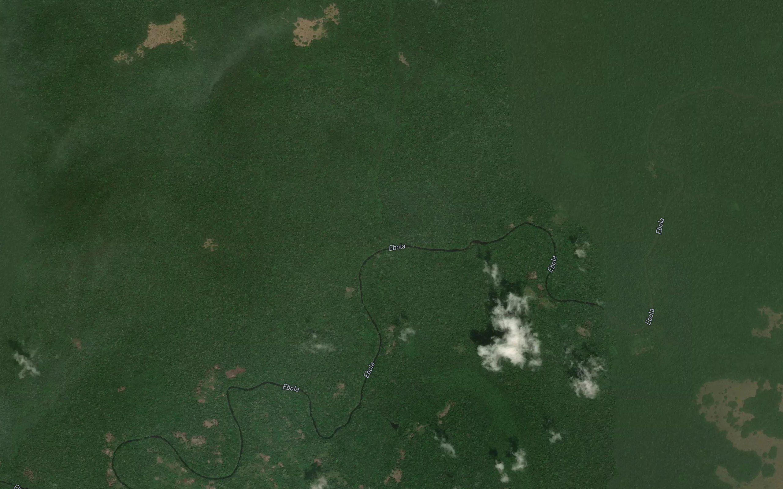 Bungu