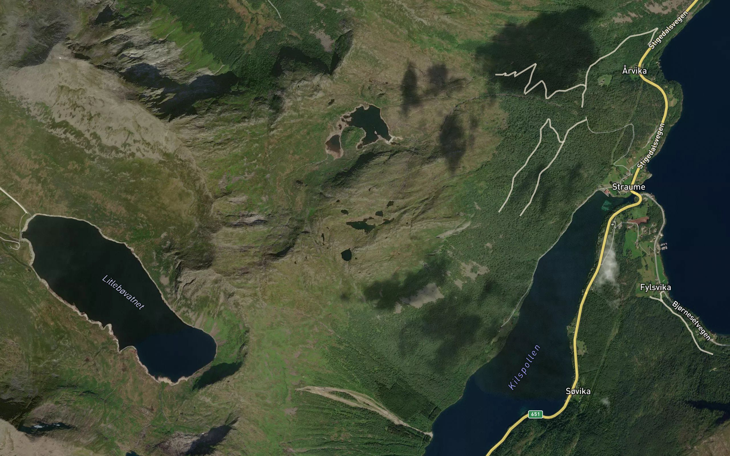 Langevatna