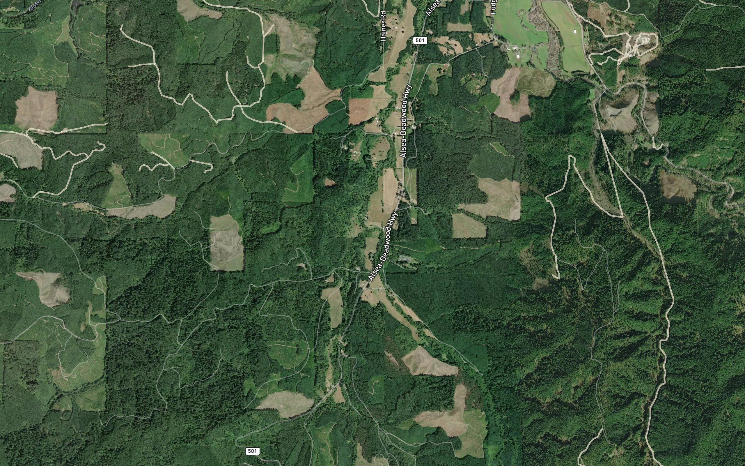 Swamp Creek