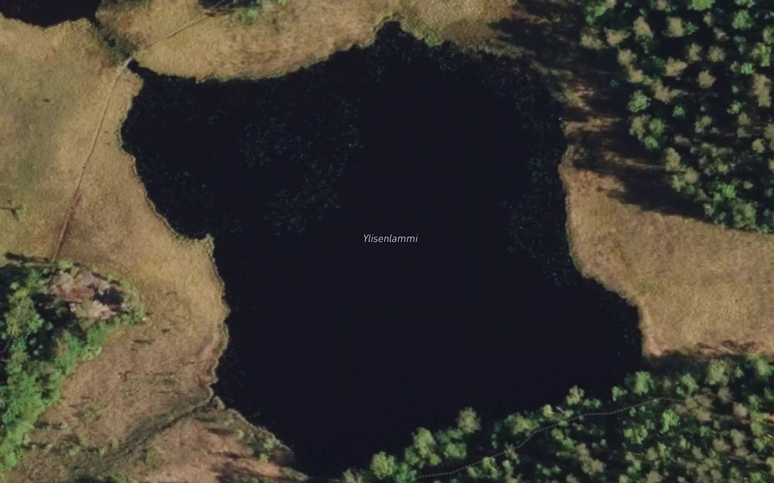 Ylisenlammi