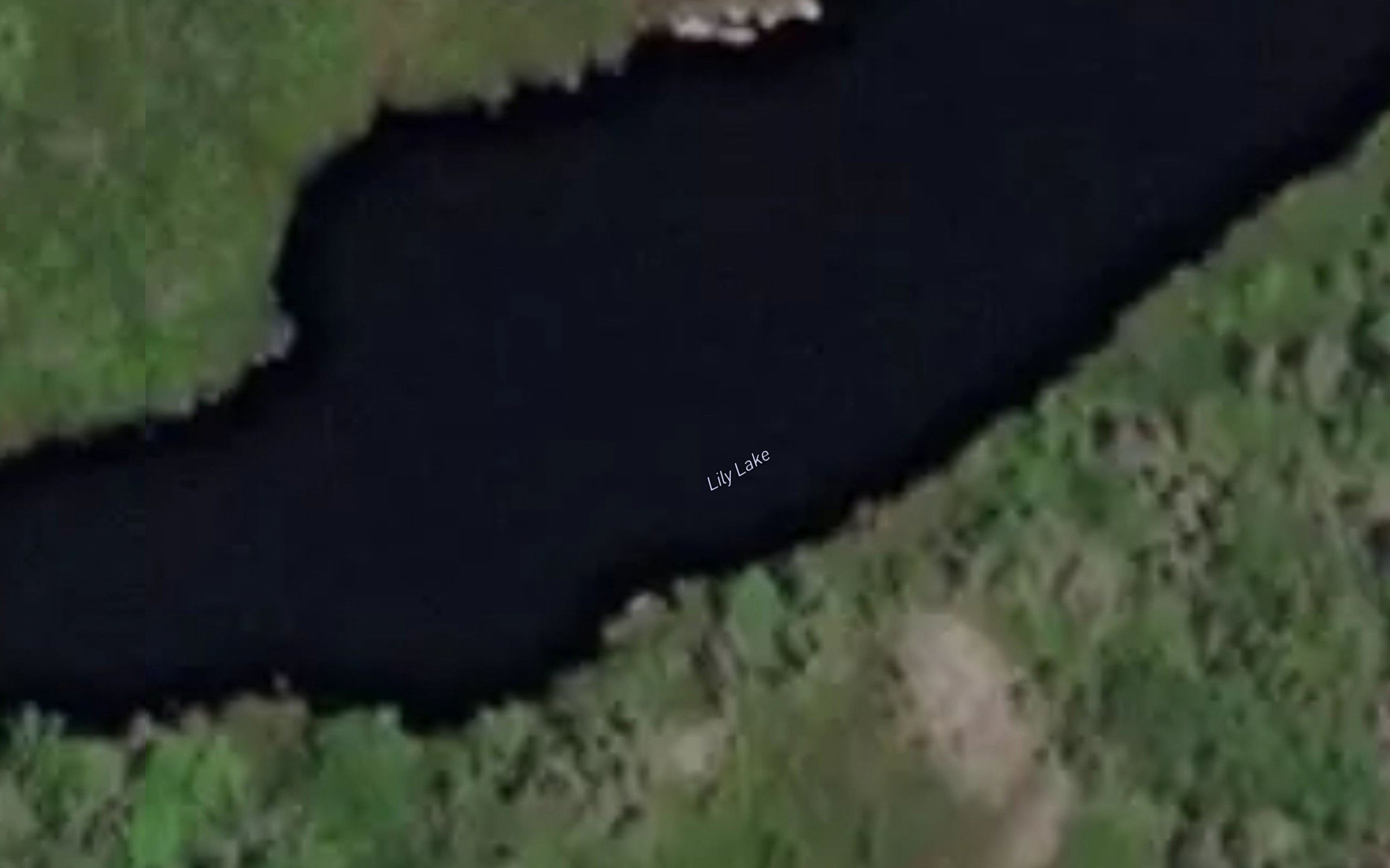 Lily Lake