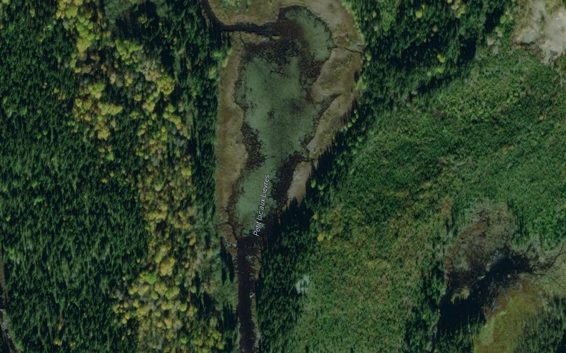 Satellite map of the Petit lac aux Lievres