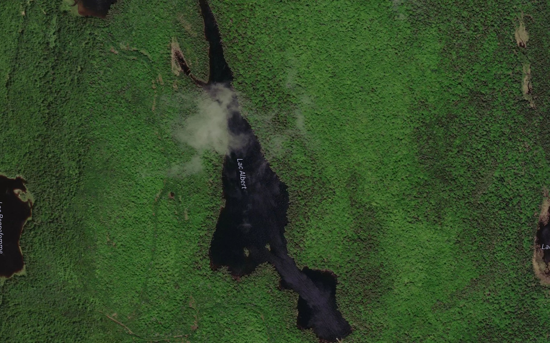 Satellite map of the Lac Albert