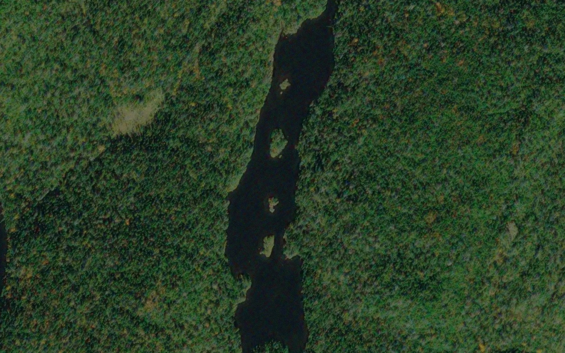 Satellite map of the Lac de la Musaraigne