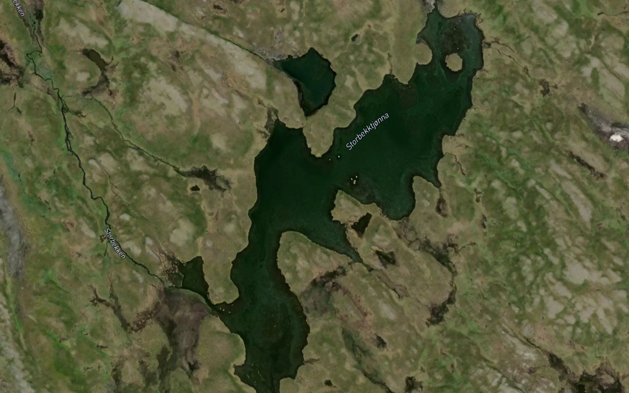 Storbekktjonna
