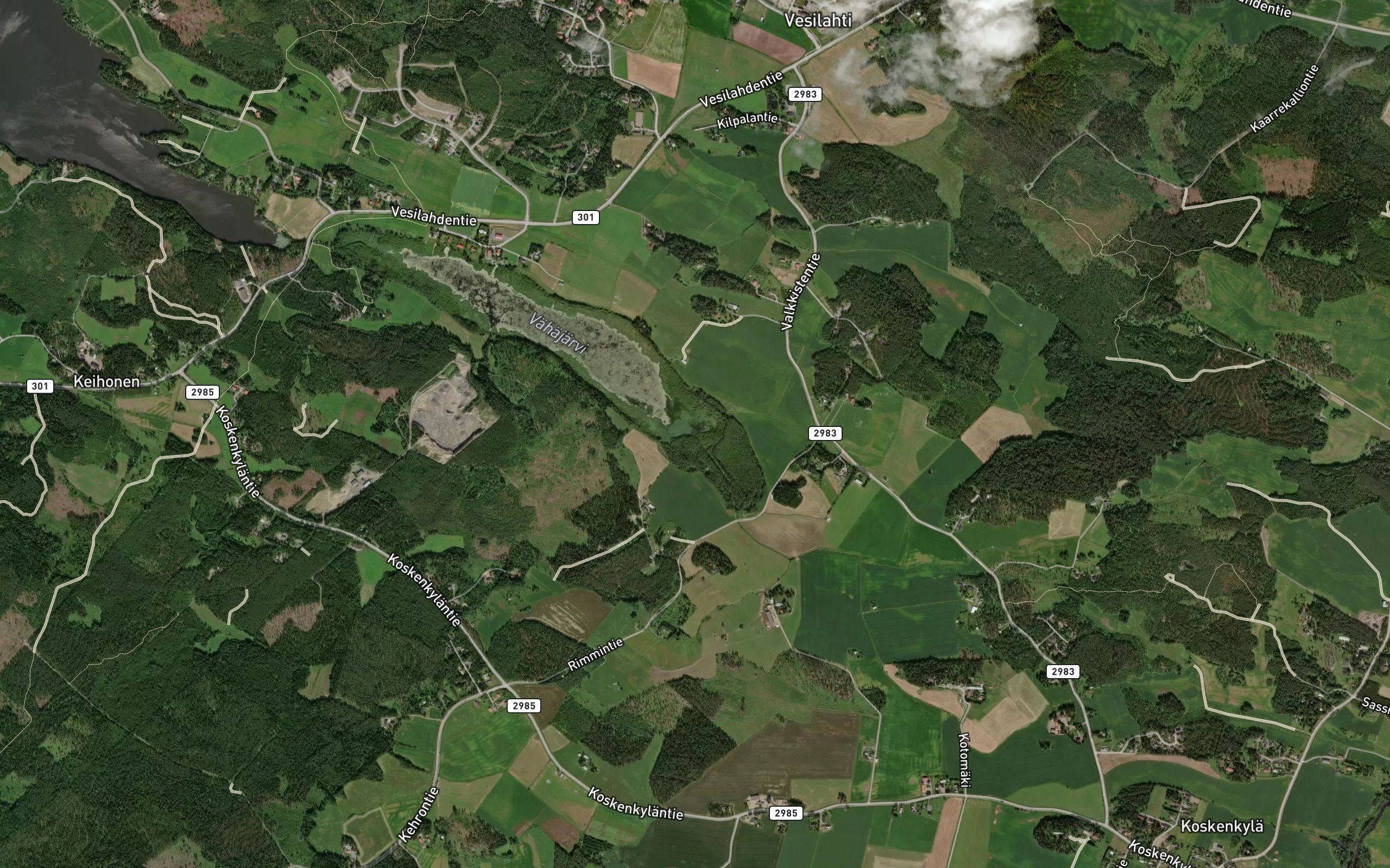 Rimminoja