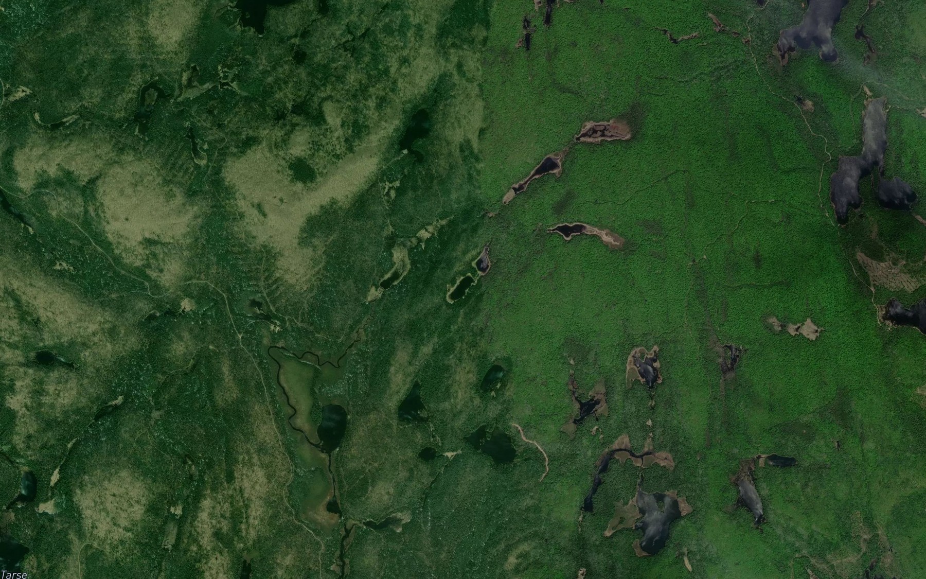 Satellite map of the Lac de la Bergere