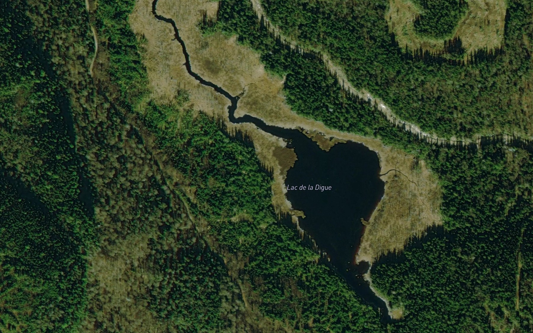 Satellite map of the Lac de la Digue