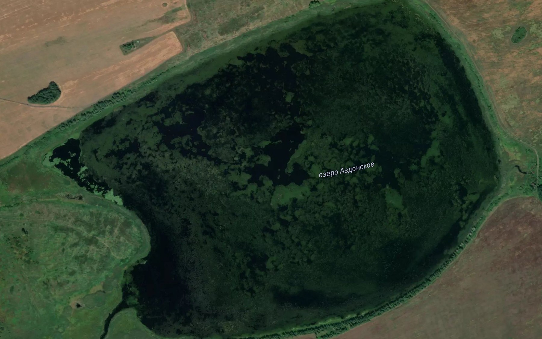Satellite map of the Ozero Avdonskoye