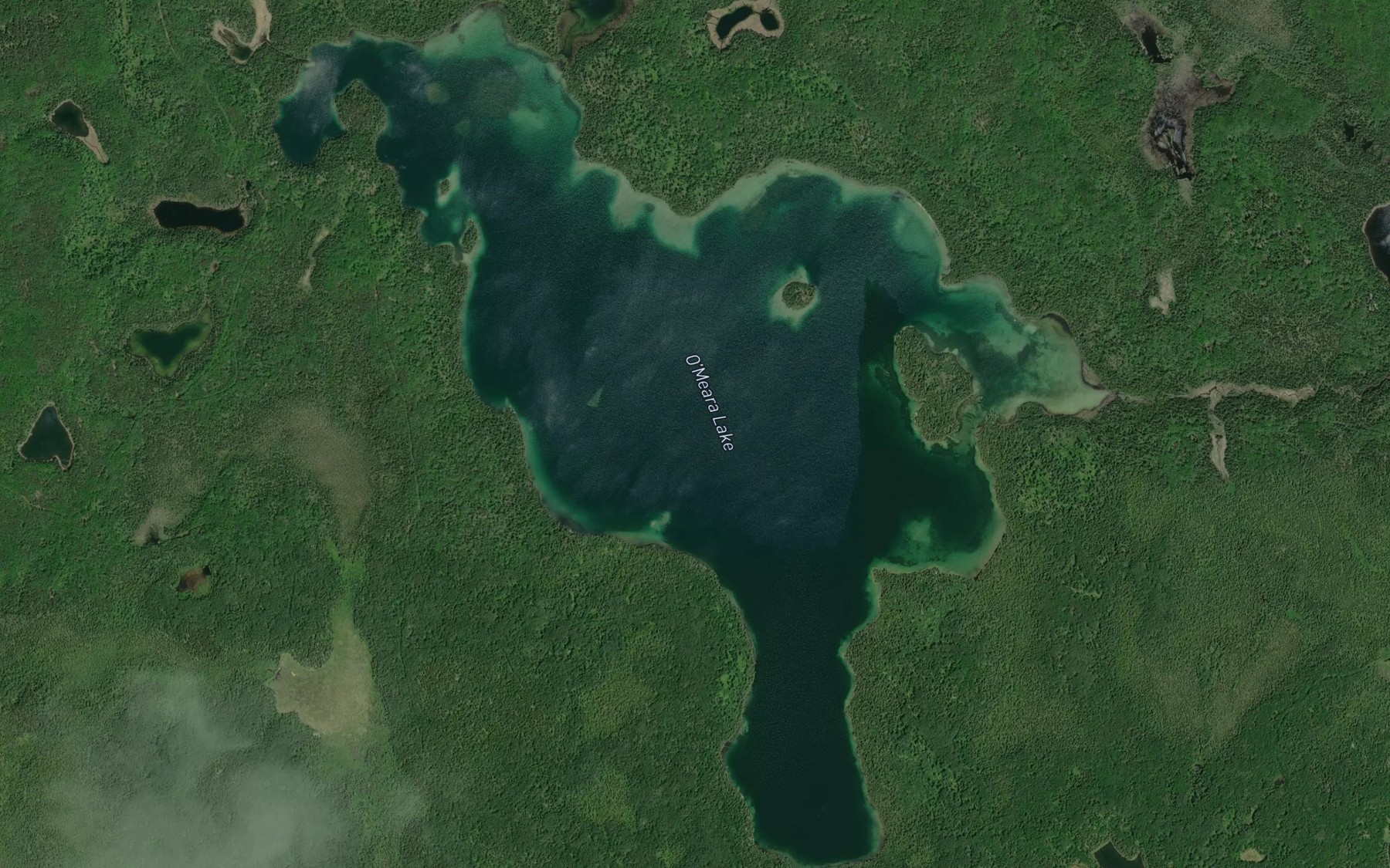 Satellite map of the O'Meara Lake