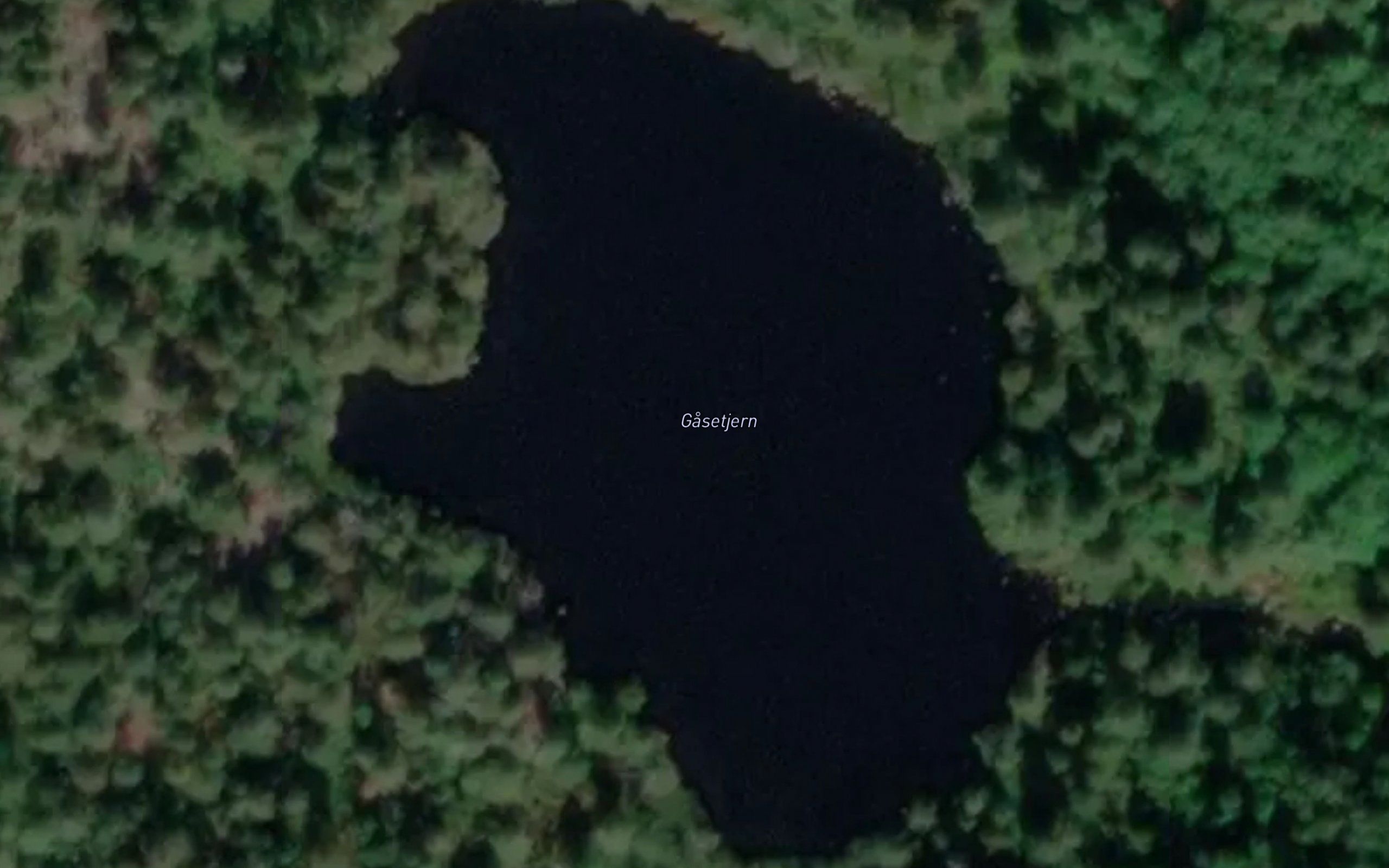 Gasetjern