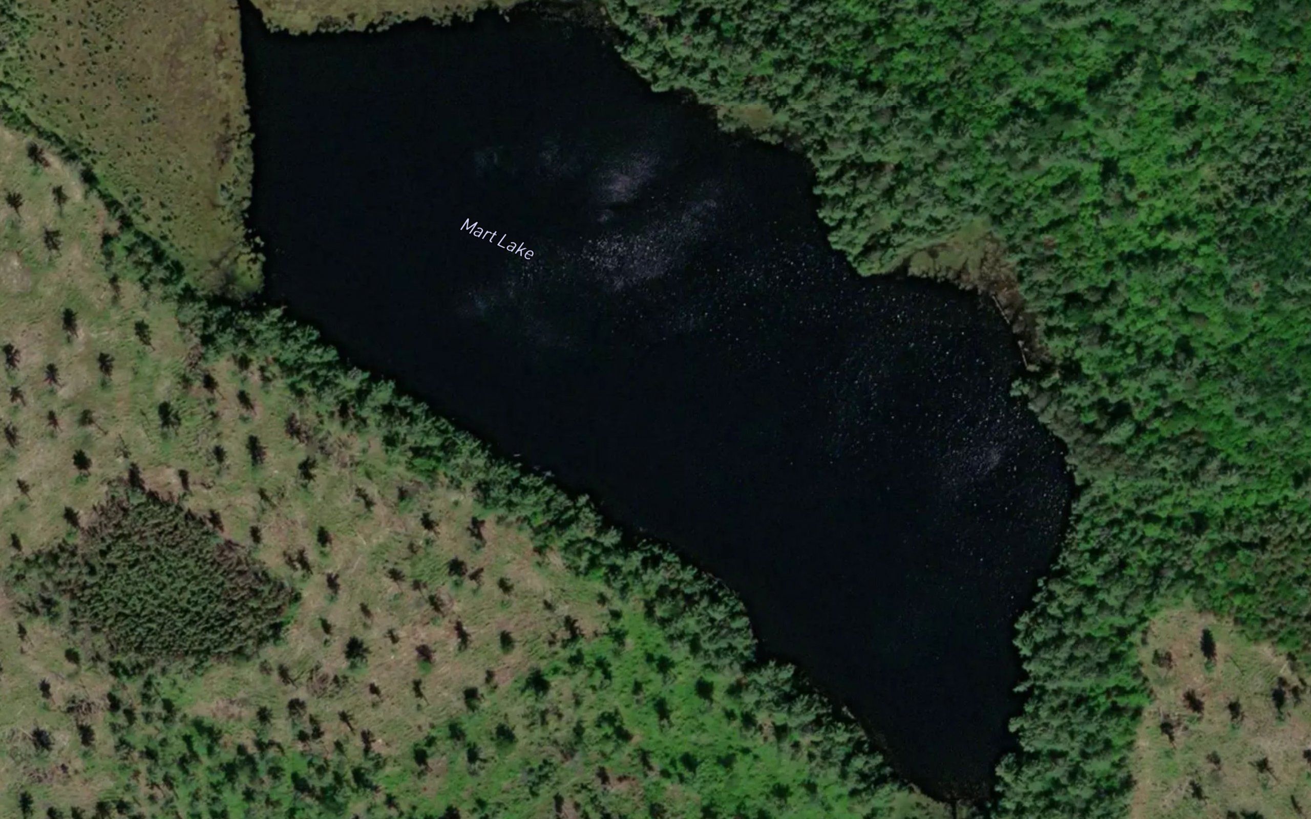 Mart Lake
