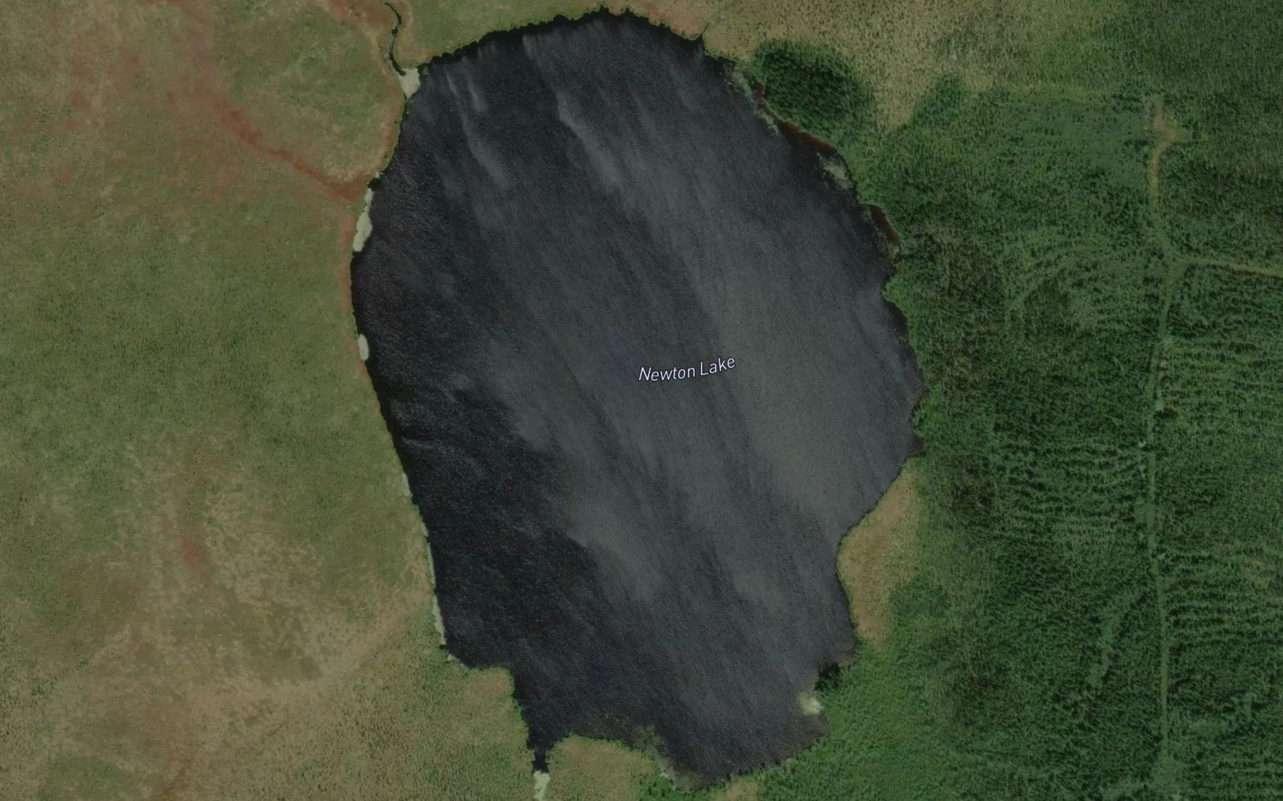 Satellite map of the Newton Lake