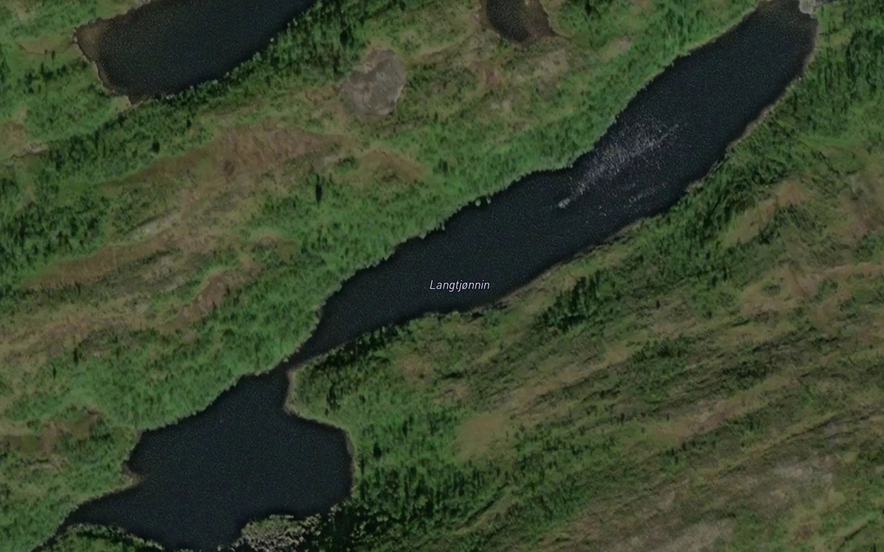 Satellite map of the Langtjonnin