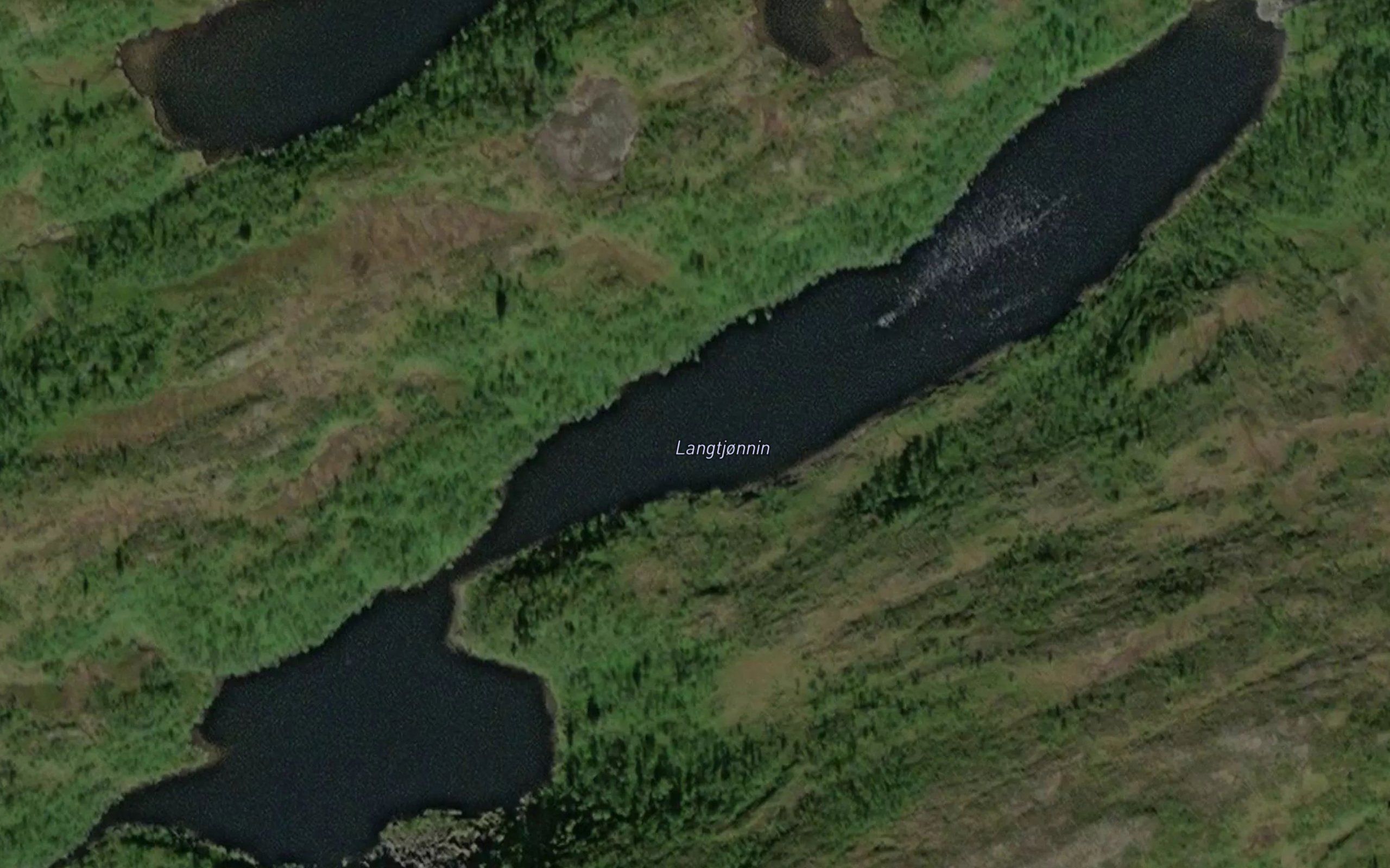 Langtjonnin