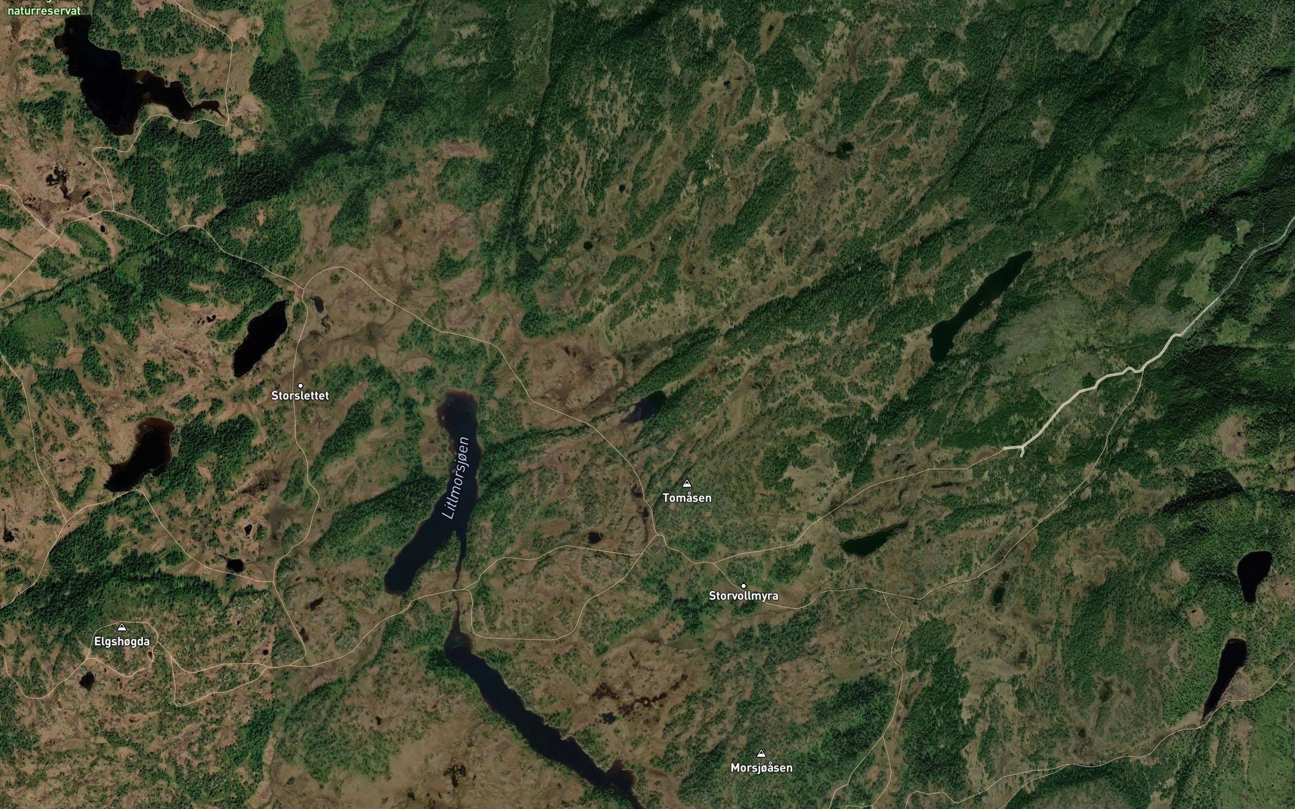 Stentjorna