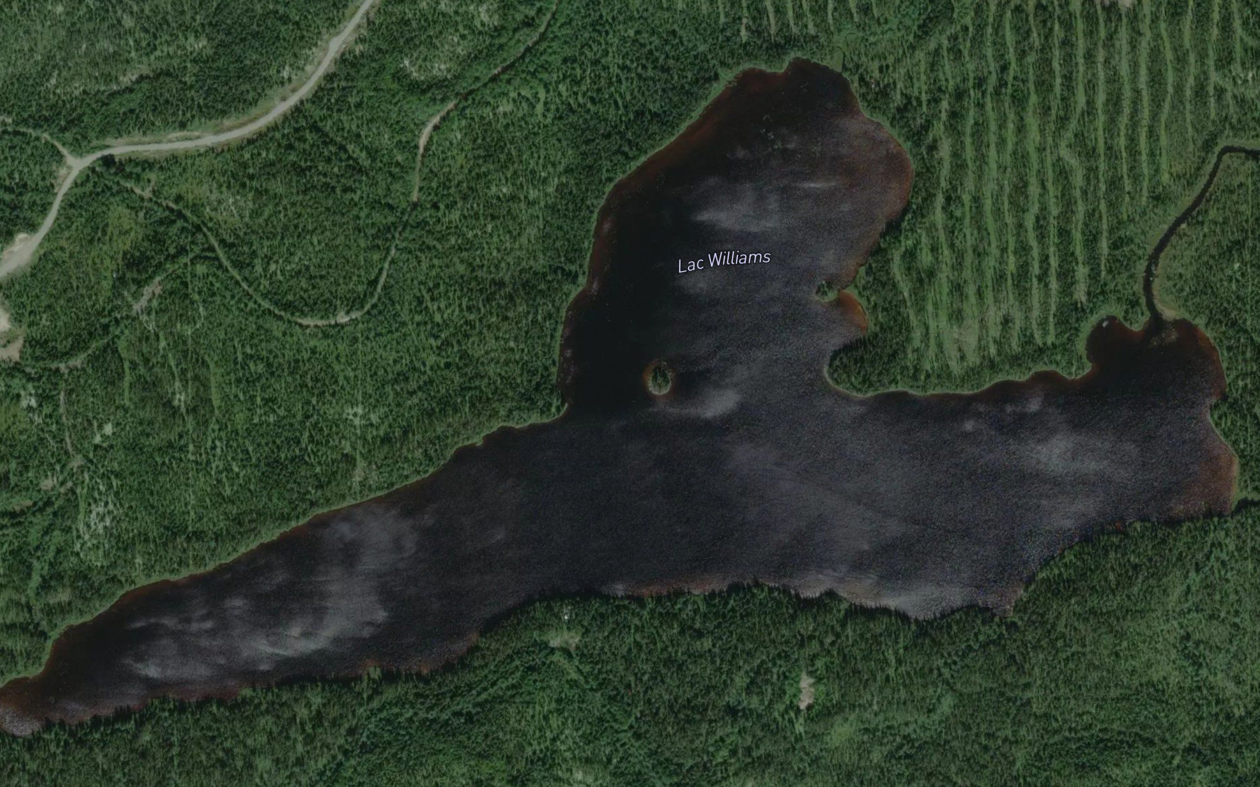 Lac Williams