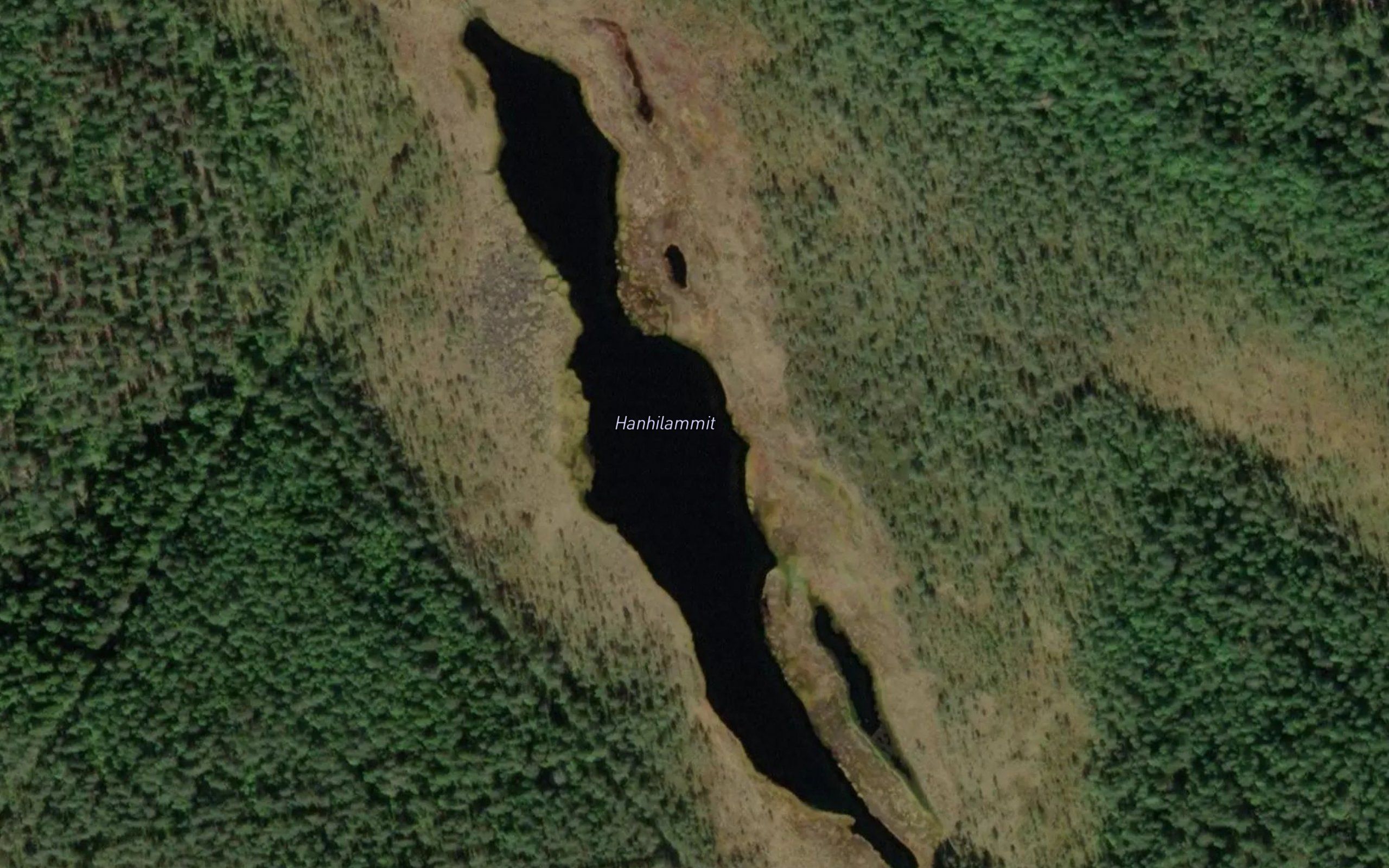 Hanhilammit