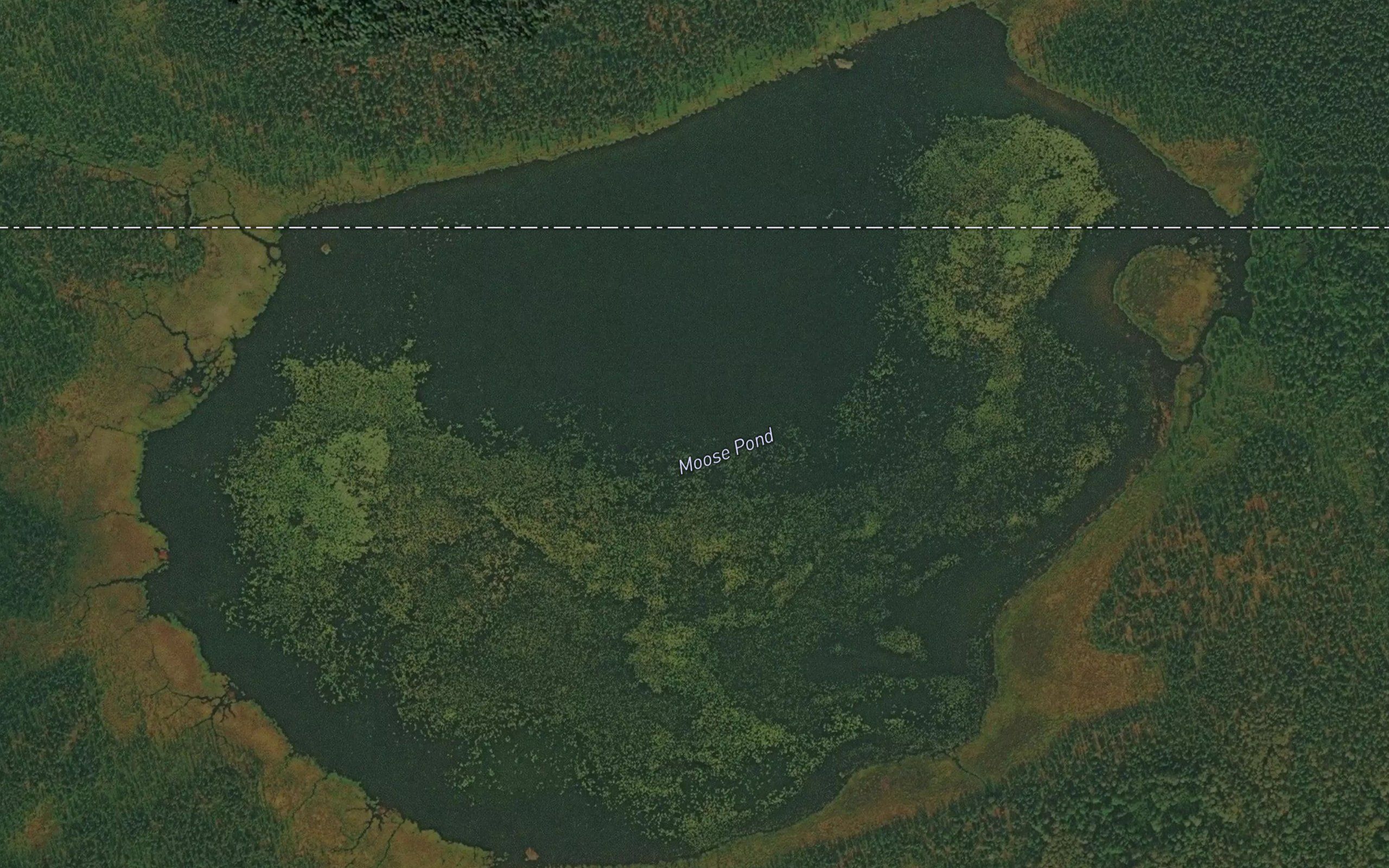 Moose Pond