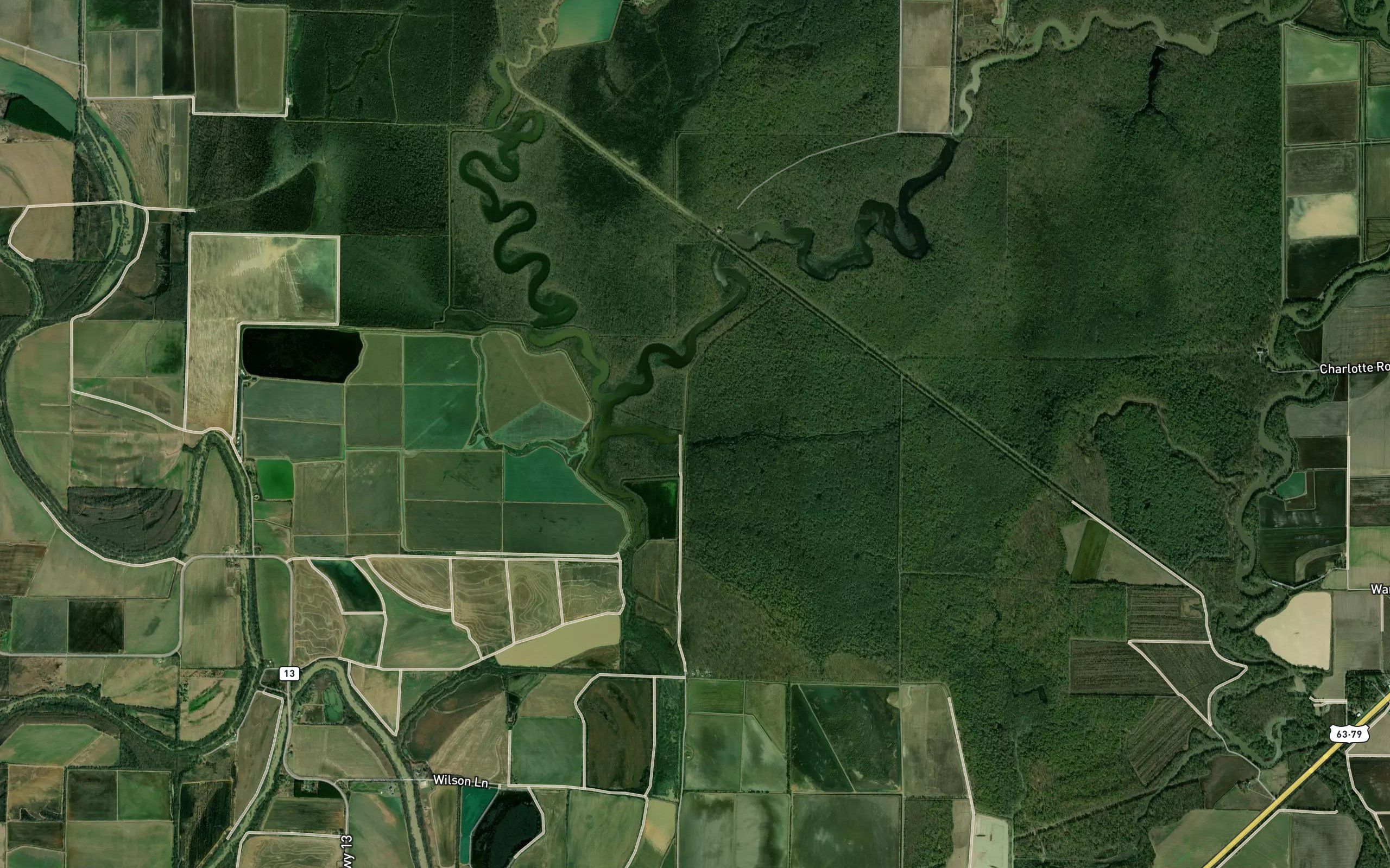 Bear Slough