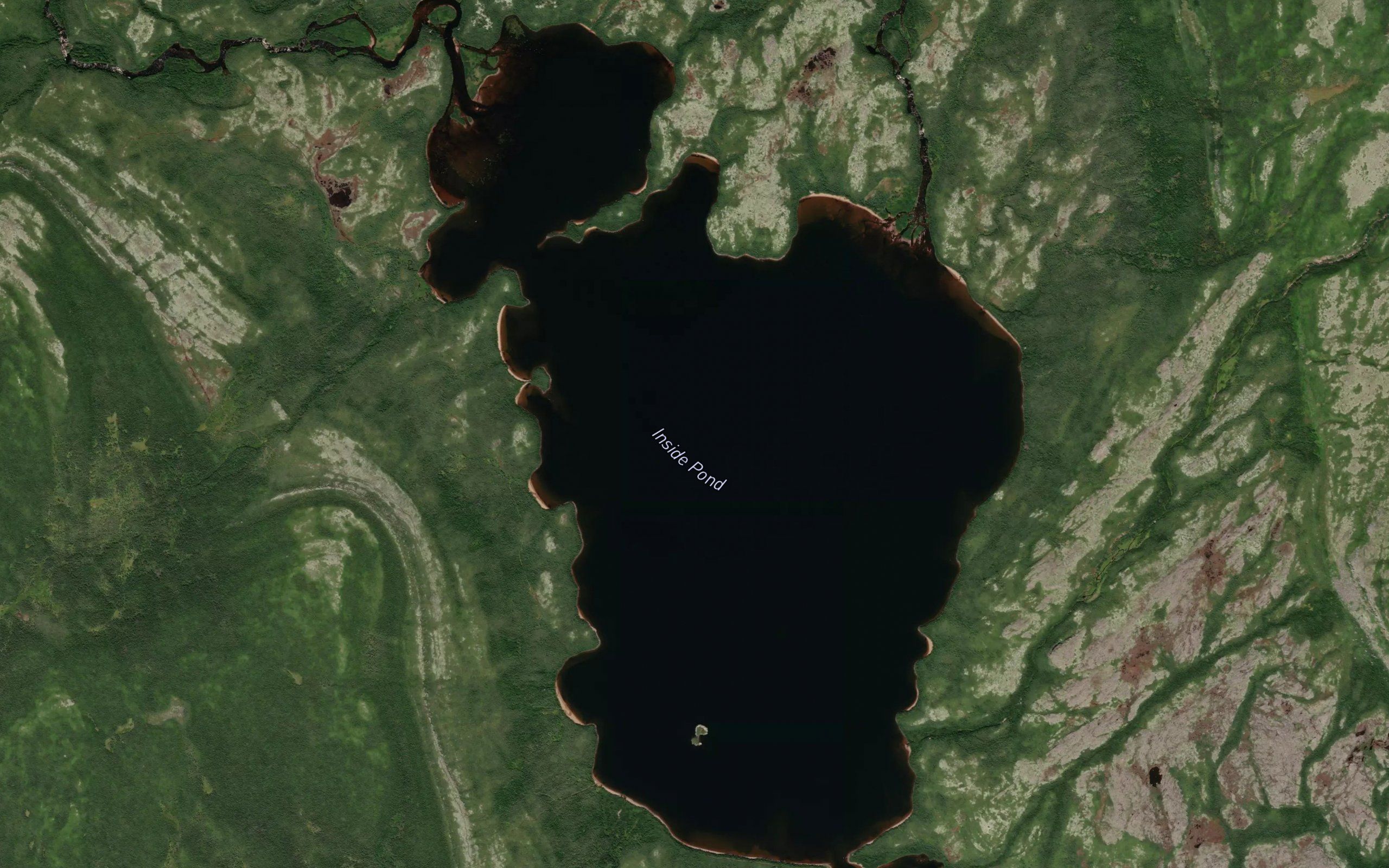 Inside Pond