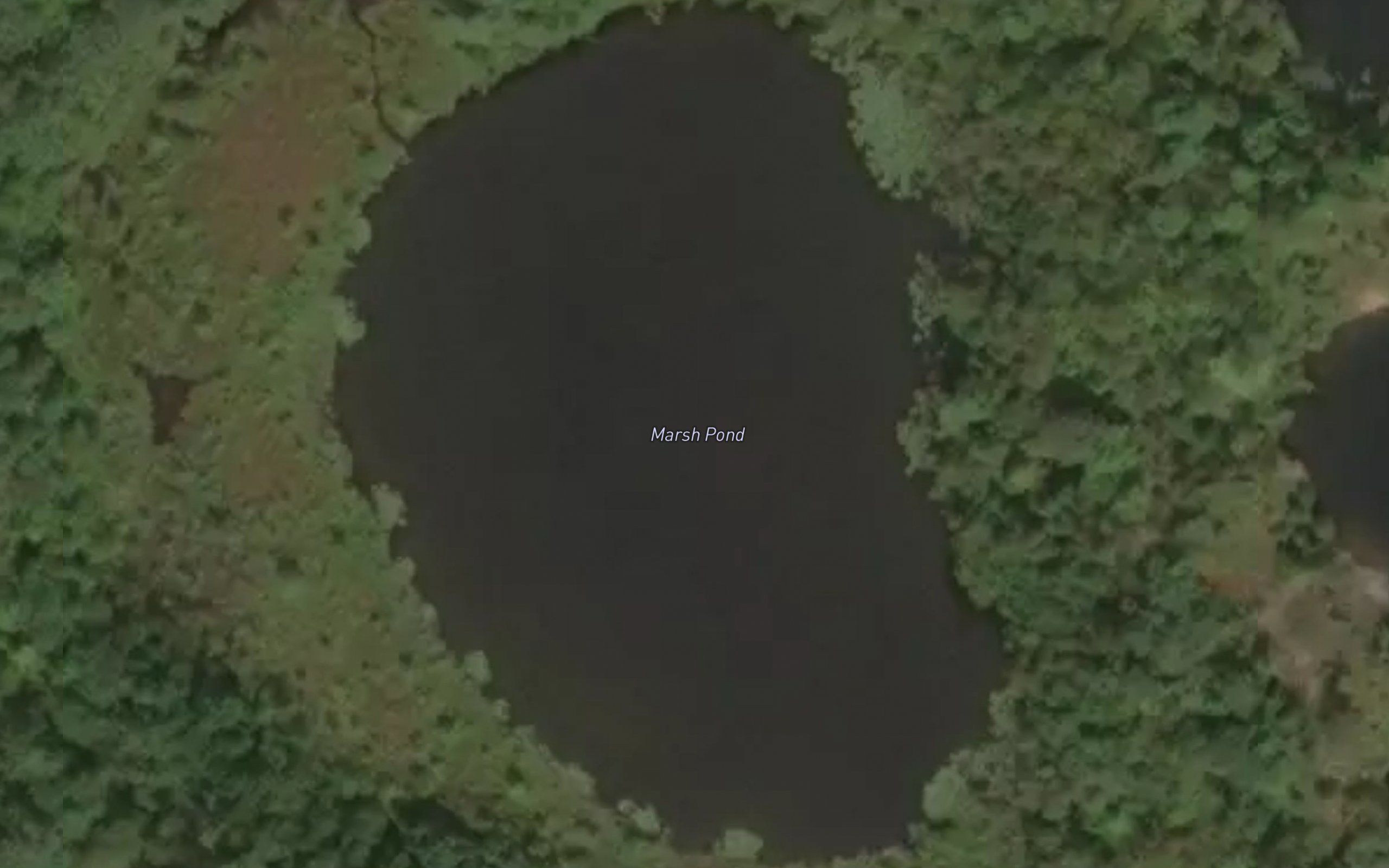 Marsh Pond