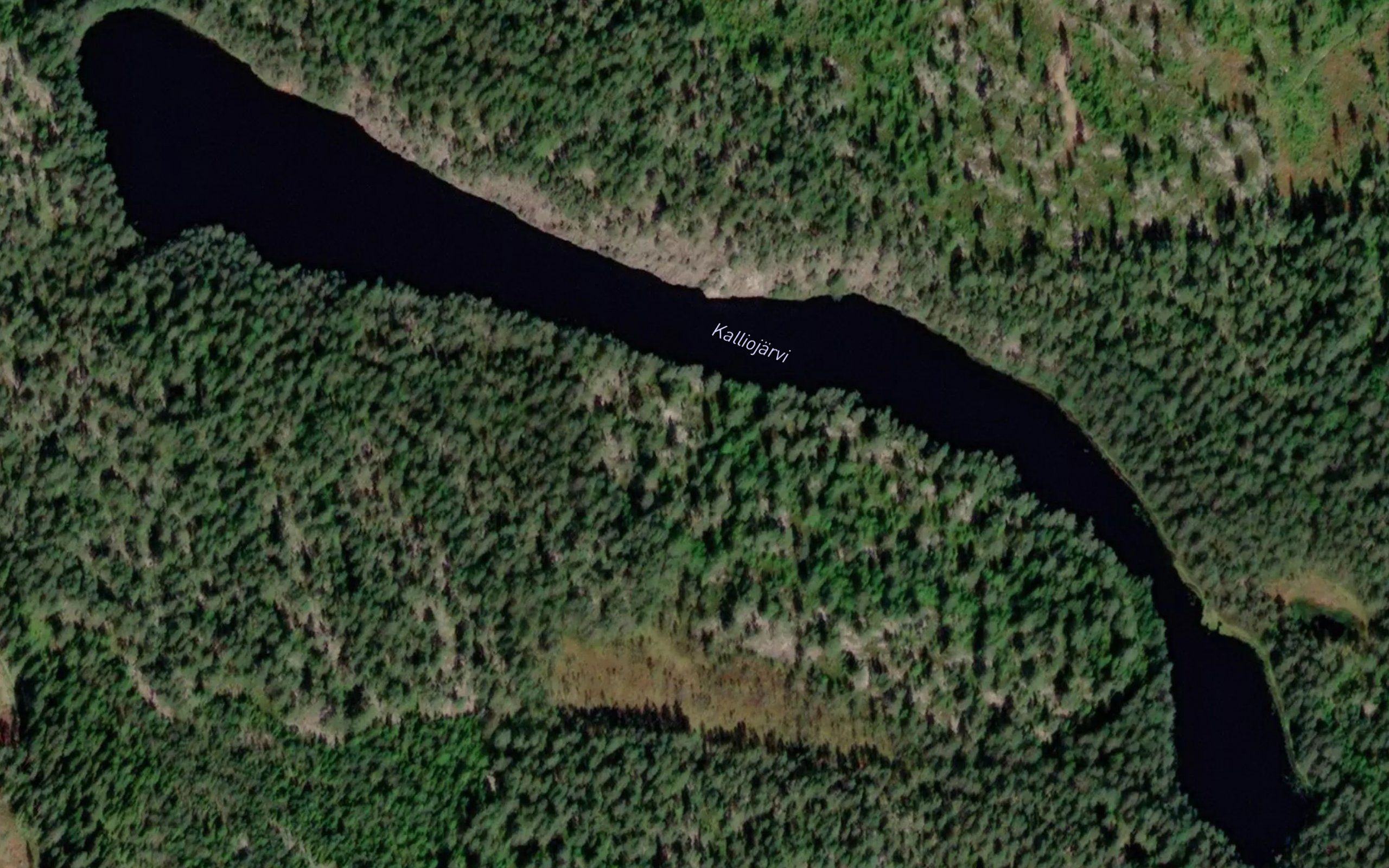 Kalliojarvi