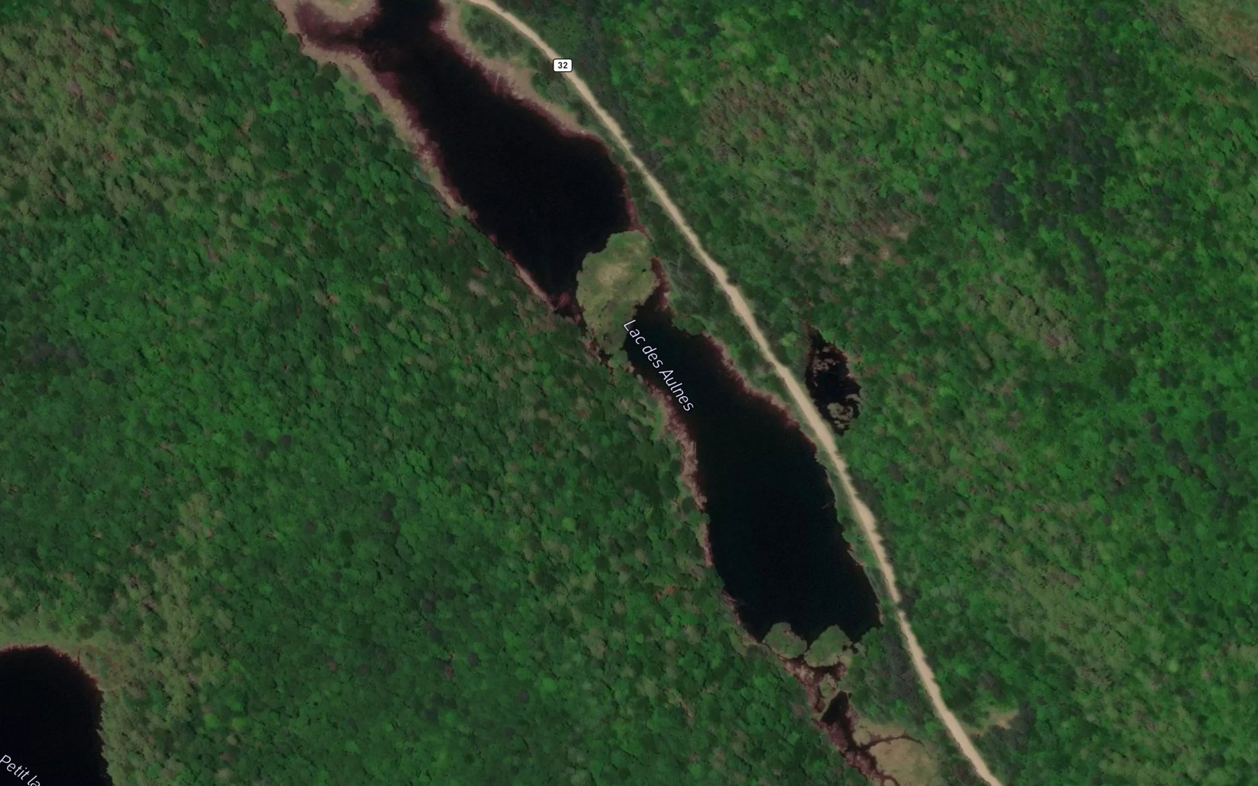 Satellite map of the Lac des Aulnes