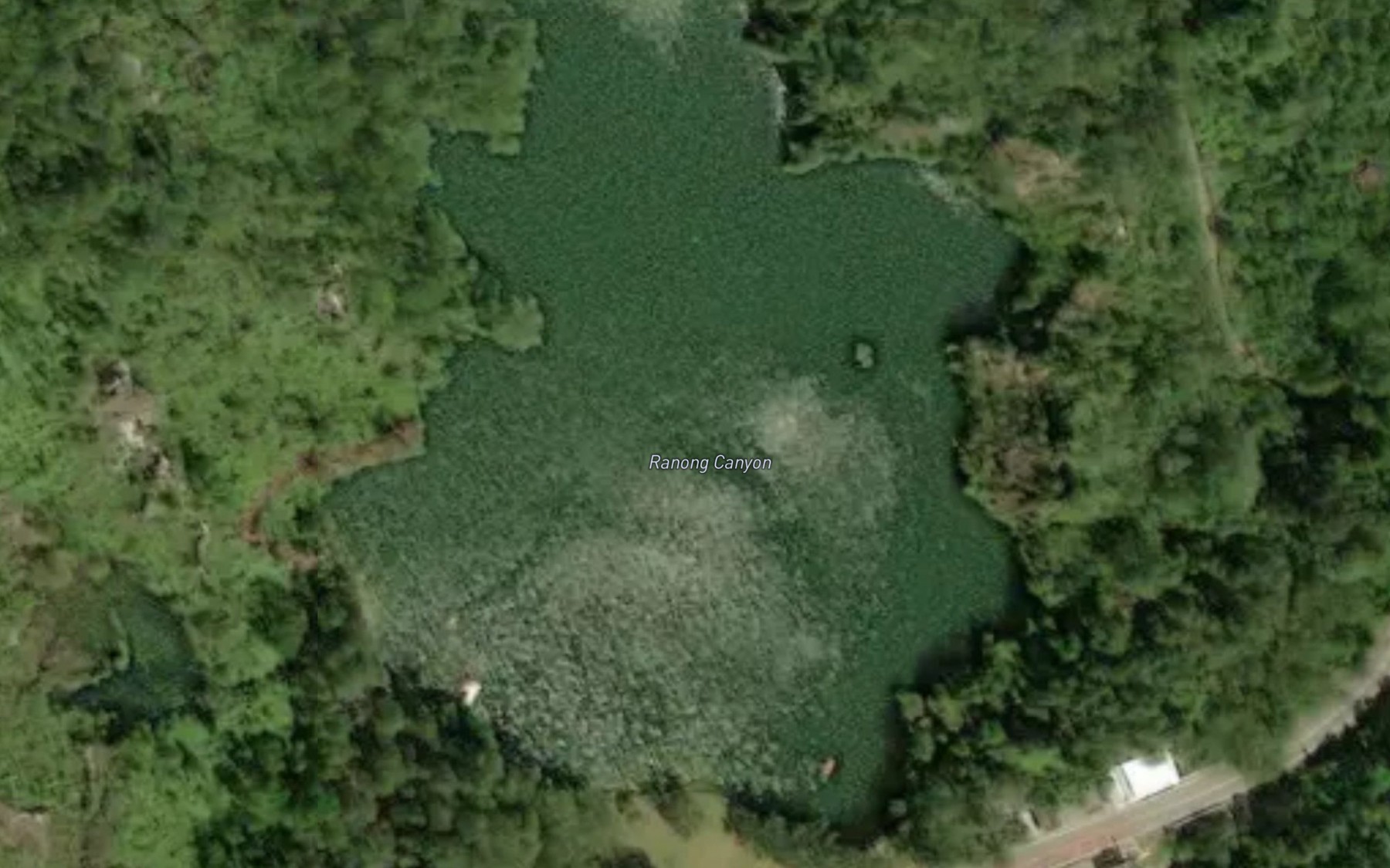 Satellite map of the Nong Mueang Rae Ranong