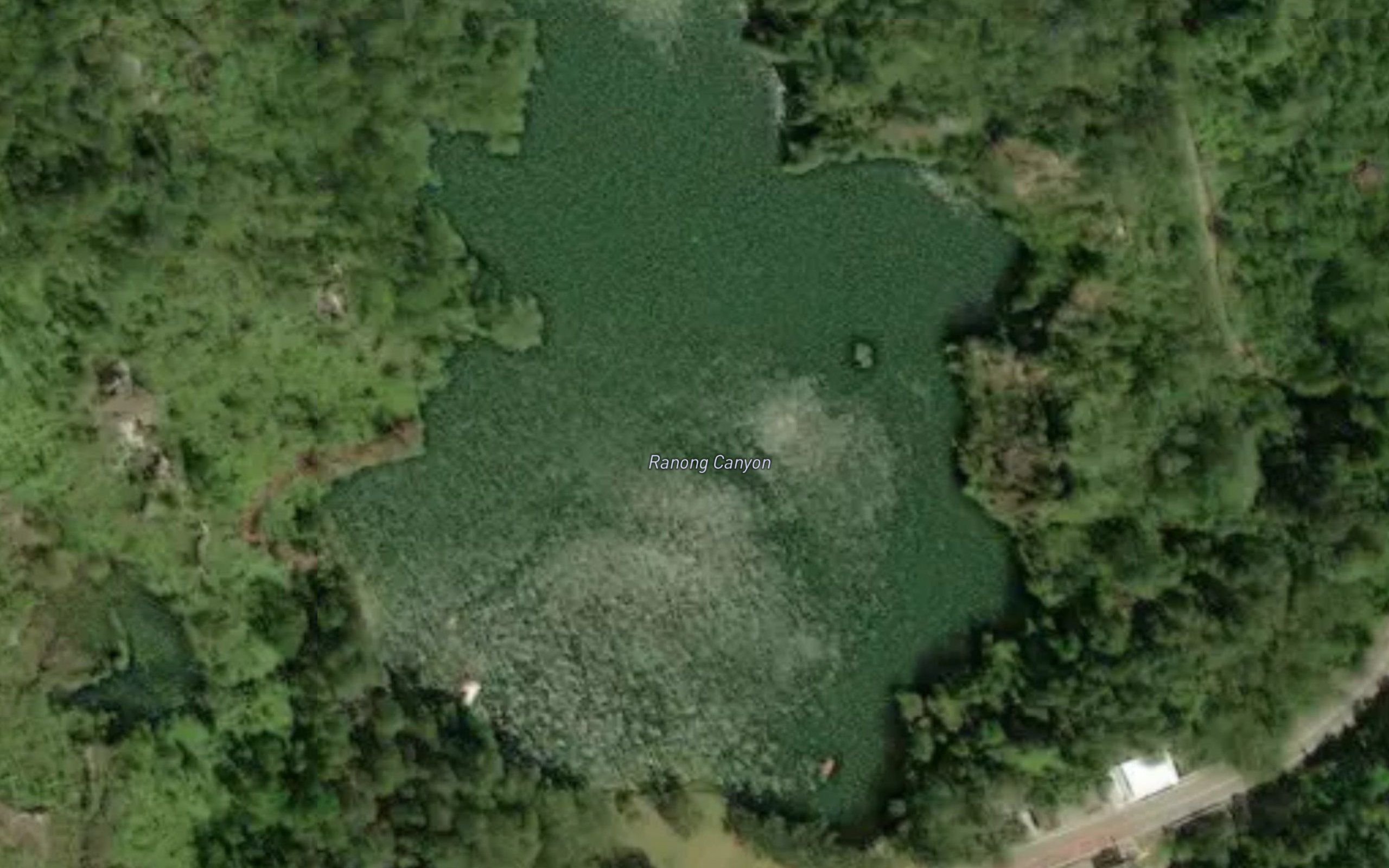 Nong Mueang Rae Ranong