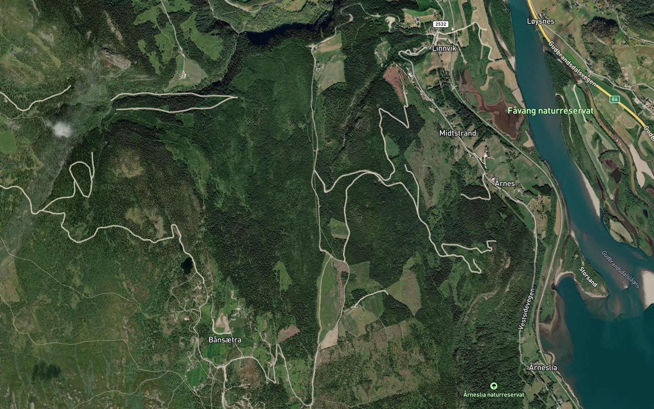 Linvikselva