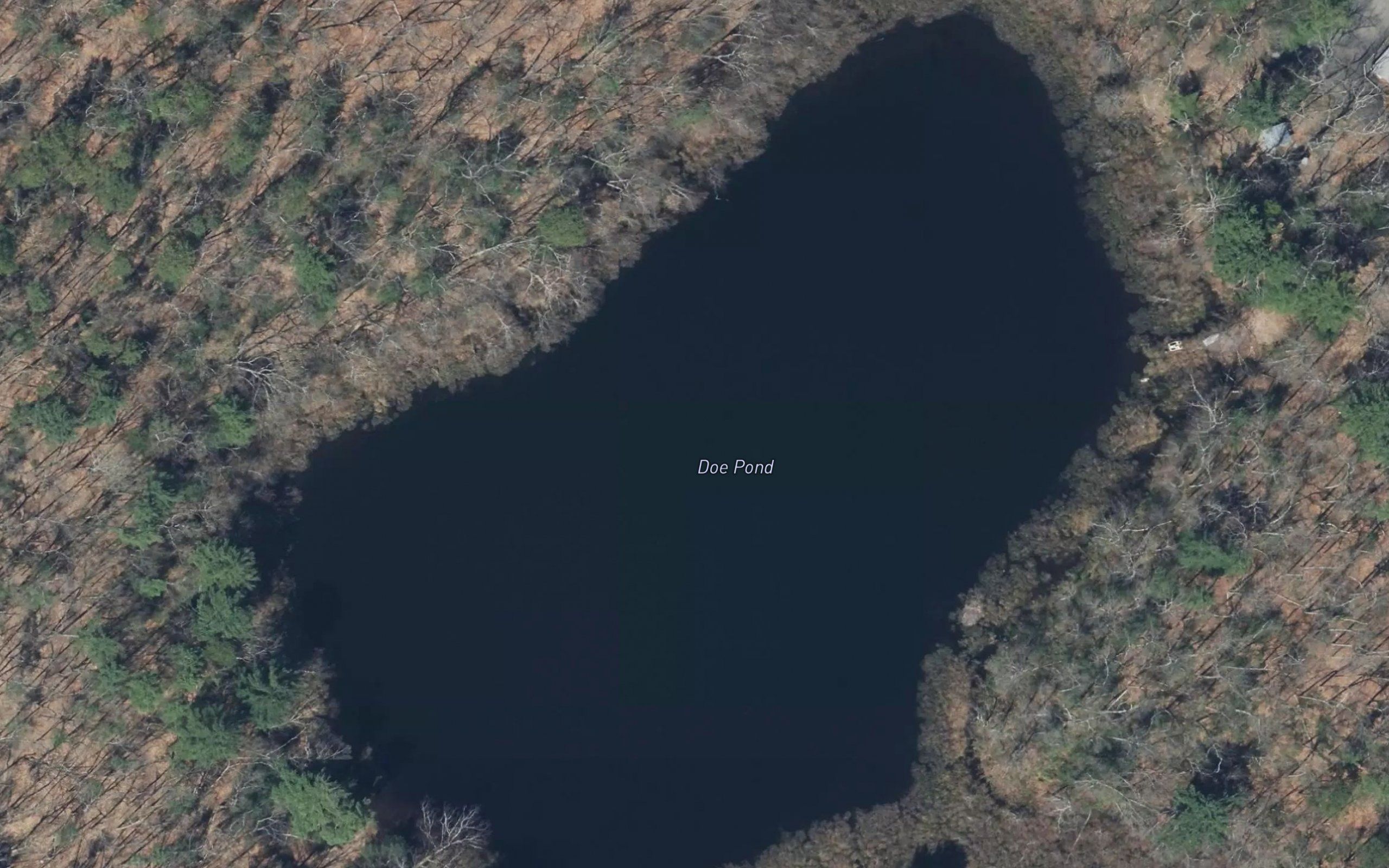 Doe Pond
