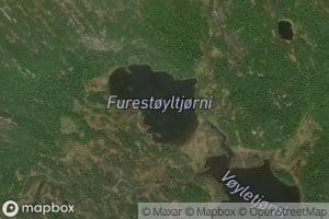 Furestoyltjonn