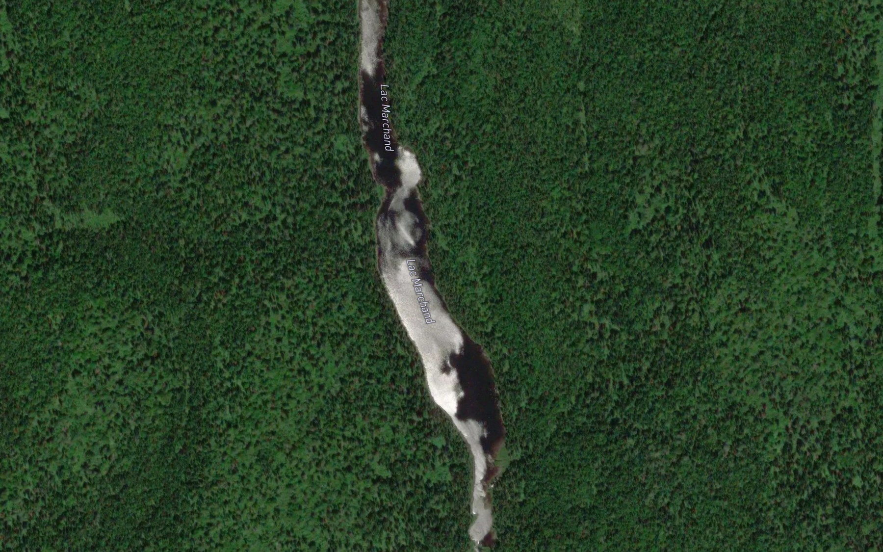 Satellite map of the Lac Marchand