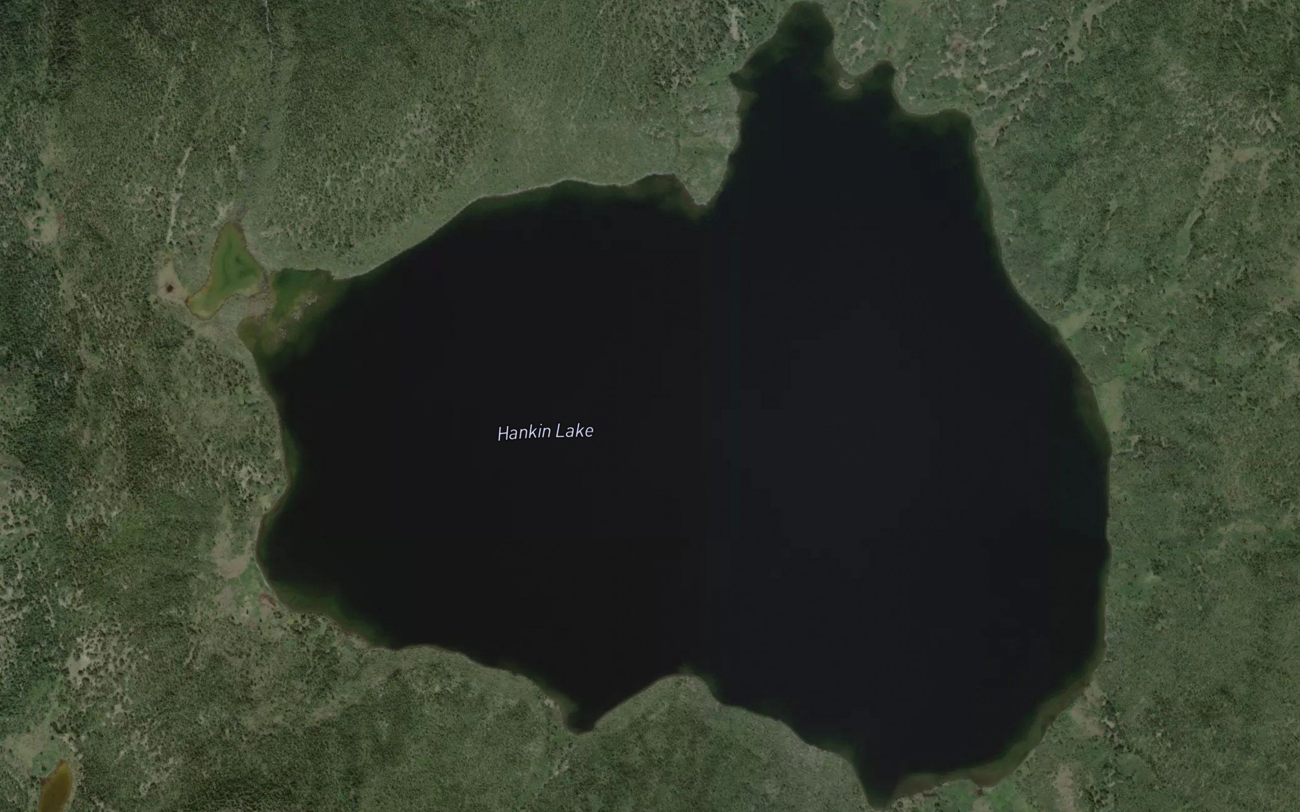 Hankin Lake