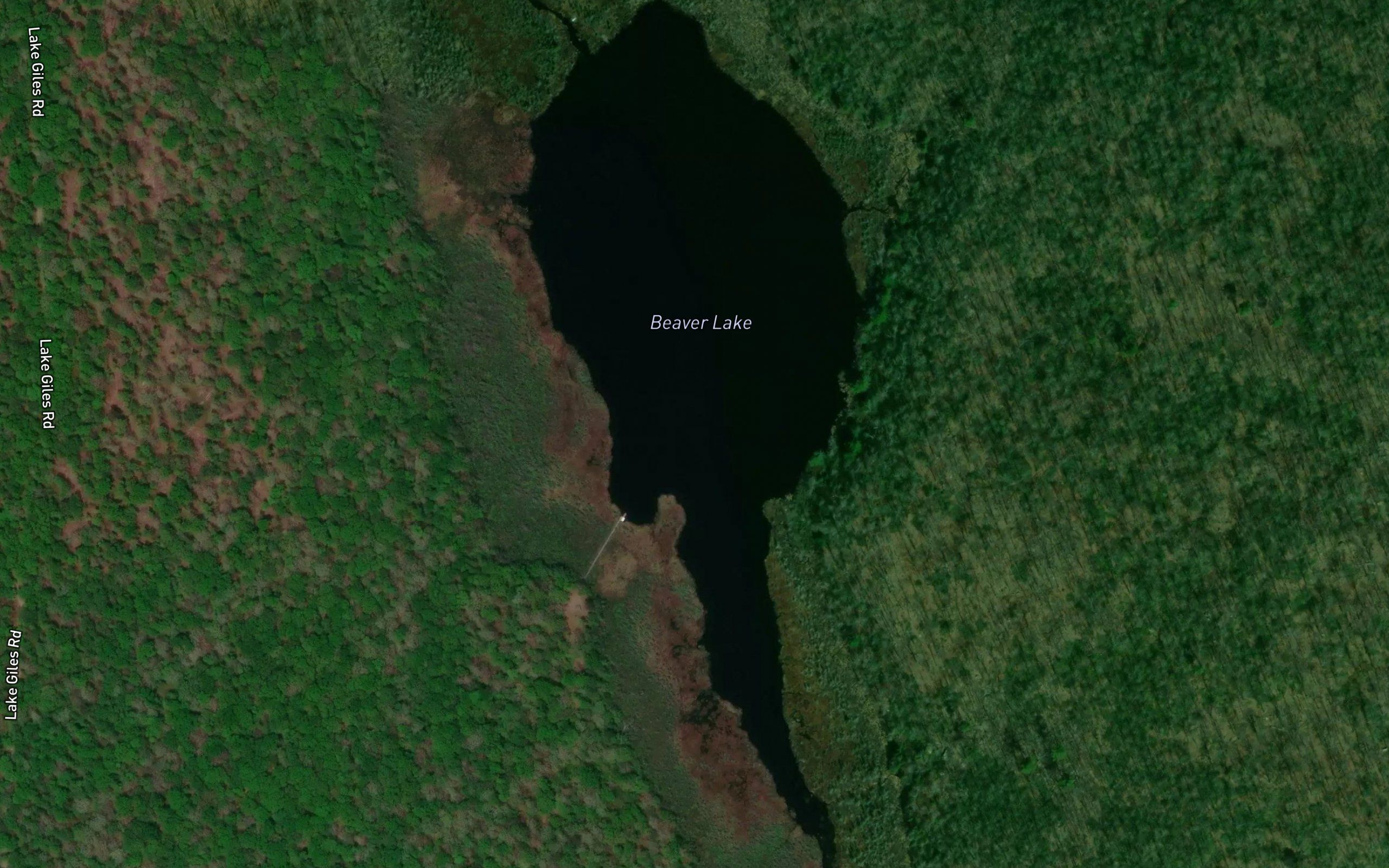 Beaver Lake