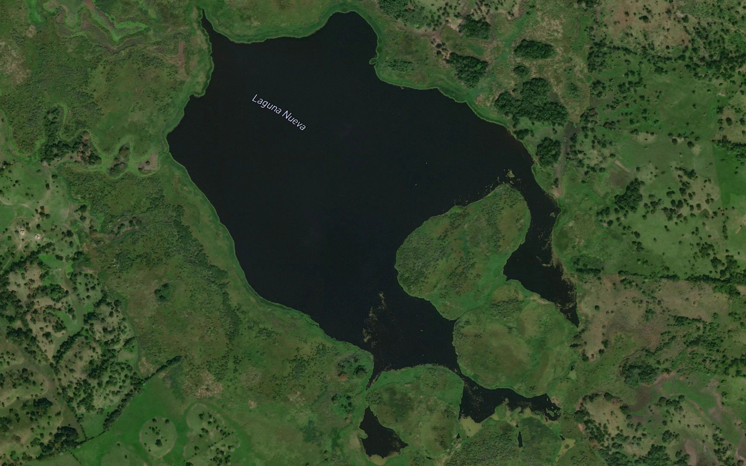 Laguna Nueva