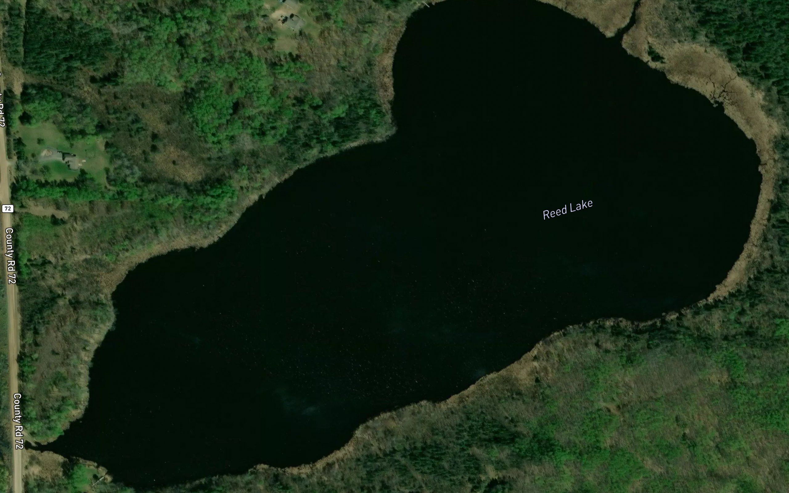 Reed Lake