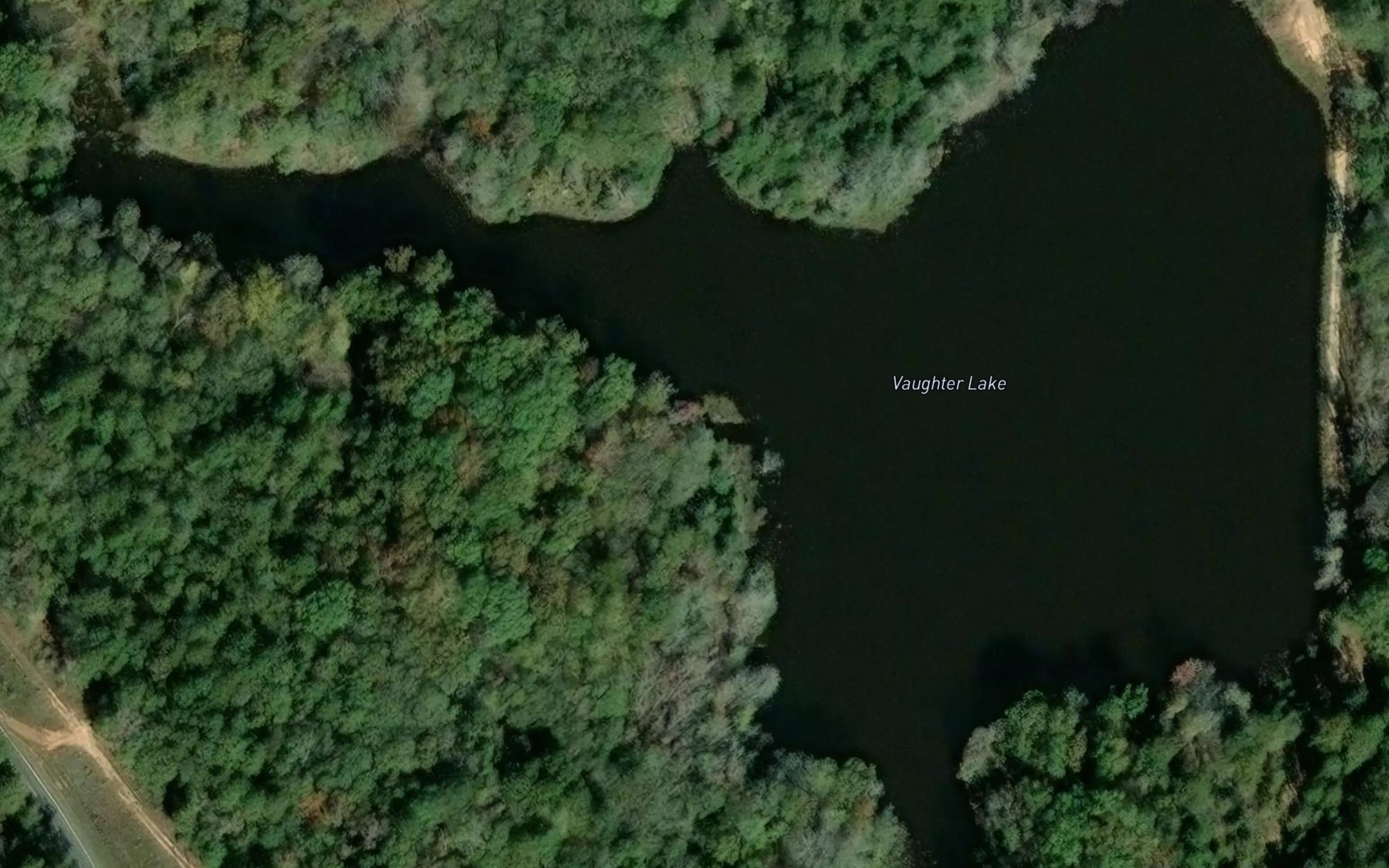 Satellite map of the Vaughter Lake